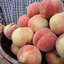 반납작 복숭아 대극천 1kg 중소과 12과내외, 1, 본상품선택