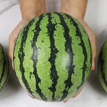 미니수박 복수박 애플수박 미니애플수박 특대 왕특, 애플수박 특대 4통 4.4kg내외