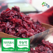 산수려 인증 친환경 무농약 구례 건산수유 500g / 구례 산수유꽃 축제, 1팩