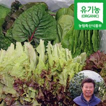충주 유기농 모듬 쌈채소 당일수확 쌈야채, 1박스, 1kg