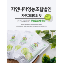 양배추즙 120ml 90포 자연나라 영농조합 청정지역 게르마늄 무안 황토골 양배추 바른먹거리 자연주의 가족 건강즙 해썹인증