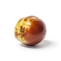 사과대추 생대추 왕대추 1kg 2kg (경산 보은 부여), 1개