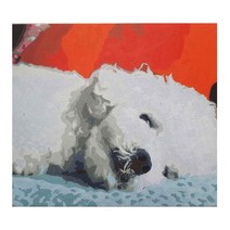 PT 주문제작 DIY 유화그리기세트 강아지 고양이 그리기 캔버스 명화그리기 숫자 페인팅, 40x40 36색