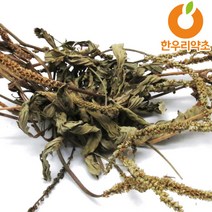 질경이차 300g 차전초 효능 먹는법 국산, 질경이300g