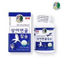 상어연골 칼슘 scp 어골칼슘제 관절 연골 치아 뼈 여성 청소년 부모님 칼슘영양제, 60캡슐, 1개