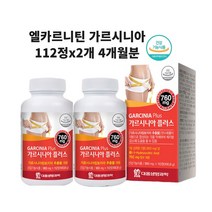 엘카르니틴 카르니틴 다이어트 체지방 다운 부스터 가르시니아 효능 식약처인정 알약