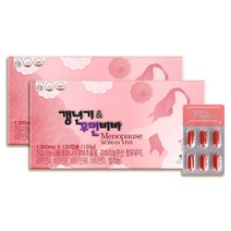 갱년기 우먼비바 여성 영양제 회화나무열매 효능 감마리놀렌산 보라지꽃종자유 먹는법 120캡슐 2박스, 2개