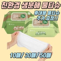 우박사솔루션 생분해 친환경 헬케어 물티슈 대형사이즈(300x210mm), 50매