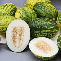 고령 파파야 메론 멜론 봄제철과일 봄철과일 임산부메론 2kg