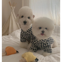 롤업 파자마 체크 강아지 잠옷 / 데일리 실내복 봄 가을 강아지커플룩, 베이지