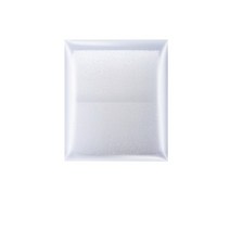 고압 스팀 물걸래 카펫트 청소 차량 세척기 무선 가정용 업소용 흡입 바닥, 2pcs 스폰지