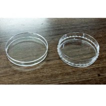 과학 실험 교육용 플라스틱 소형 샬레 20개 세트 관찰 기자재 실험실