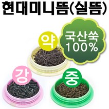 현대 미니뜸 실뜸 (강 중 약), 약, 1개