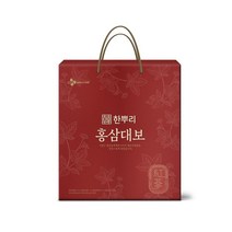 [선물세트] CJ 한뿌리 홍삼대보 세트 40ML*24입