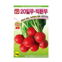 아시아종묘 무씨앗 20일적환무 방울무 래디시 건강채소씨 (12g)