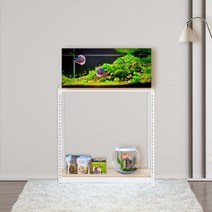 축양장 어항다이 선반 2단 600 x 400 x 600, 화이트