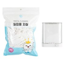 로얄클라쓰 교정 일회용 치간 치실케이스+리필용500개, 1개