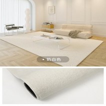 인테리어 소품 대형 장식품 장식 미니멀리스트 단색 침실 침대 옆 넓은 영역 카펫 모던 거실 북유럽 서재 클로크룸 플러시 러그, 9.A  200x300cm