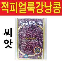 적피얼룩강낭콩씨앗 50알 강낭콩 씨앗 종자