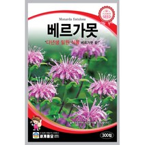 세계 베르가못 벨가못 모나르다 bergamot seed 씨앗 씨 꽃씨 종자, 과꽃