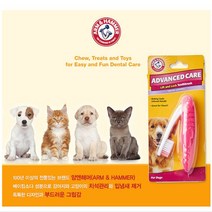 암앤해머 강아지칫솔 애견 어드밴스 접이식 칫솔, 본상품선택