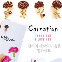 카네이션 브로치 브로찌 돈본투 포함 편지 어버이날부모님선물 엄마어버이날선물 교구