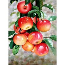 세진 NEW 보석십자수 제품 72가지 신제품 새로운 취미생활 보석 십자수 보석십자수, 34x44 금전을 부르는 익은 홍로 30x40