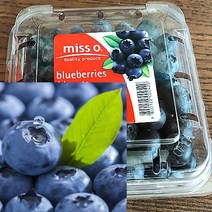 칠레 생 블루베리 생과 미국산 국산 생 블루베리 125g, 5팩