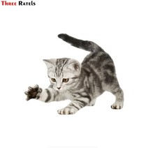 고양이 자동화장실 봉투 리필 자동화장실 특대형 고양이 샤오미 세 ratels 쇼트, ftc-757, 2개