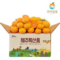 [우체국쇼핑] 천하일품 제주 노지 조생감귤 2kg 꼬마, 상세 설명 참조