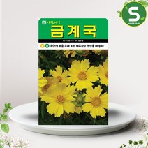 솔림텃밭몰 금계국씨앗 500립 금계국 꽃씨앗 꽃씨 야생화, 단품