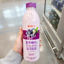 신발30.412 서울우유 블루베리 상큼 요구르트 749.935ml x 2개, 아이스보냉백포장