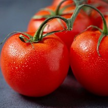 탱글탱글 프리미엄 토마토 3kg 영양만점 아이 어른 다이어트 간식