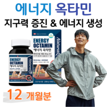 에너지 옥타민 옥타코사놀 비타민B 하루한알 항산화 비타민C 지구력 증진 도움 에너지 생성 면역 아연 직장인 회사원 택배 택시 버스 배달 운전 기사 현장직 사무직 일용직 남성 여성, 4통, 1256mg x 90정 (하루 1정)