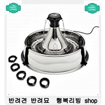 육아로 받은 스트레스 한방에 해소되는 영양제 강아지면역 애완영양제