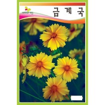 야생화씨앗 씨앗] 금계국 100g