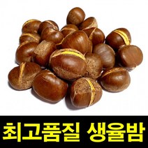 햇생율밤 1KG 칼집O 밤보관법 공주밤 밤삶기 옥광밤, 1000g