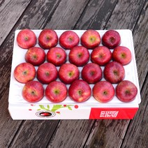 영주풍기사과농장 햇 사과 실속형 정품 4kg 20-22과