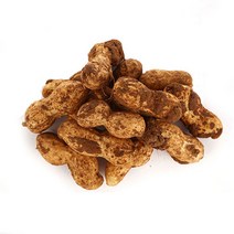 23년 국내산 삶아먹는 피땅콩 생땅콩 물땅콩, 1개, 땅콩2kg