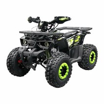 ATV150 / UTV / 사륜 오토바이 / 농업용 ATV/사발이
