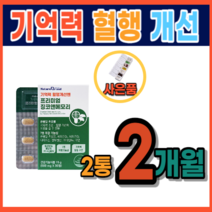 징코 뇌건강 기억력 인지력 은행잎 추출물 집중력 장애 저하 감퇴 기능 향상 개선 에좋은 식품 식약처 정맥순환개선 하지정맥 다리 혈액순환 피 맑게 하는 영양제 음식 약 1개월분, 2통, 30정