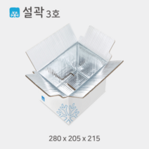 설곽 종이 아이스박스 3호 20개입, 20개