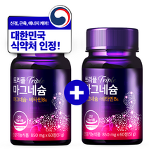 파이토웨이 트리플 마그네슘 신경 근육 에너지 3중 복합 케어 눈떨림 영양제 비타민B6 4개월분, 60정, 2개
