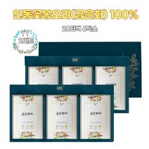 금은화차 티백 인동초 카페인없는차 위 건강 디카페인차 루테올린 플라본 콜로로겐산 이노시톤 이리도이드
