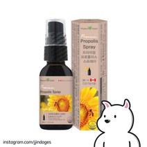 프로폴리스 스프레이 30ml 팜그린