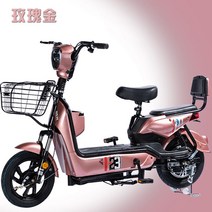 자토바이 팻바이크 자전거 클래식 배달 전기 스쿠터, 【장미】【20A 리튬배터리】160마일 항속주행, 12ah