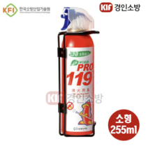 월드프로 119 스프레이형 간이소화기 소형 레드 + 거치대, 10개, 255ml