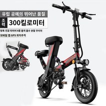 샤오미 접이식 전동 전기 자전거 미니벨로 전기자전거 펫바이크 삼륜 세발 합금 가성비 배달용 스쿠터 이륜차 사이클, 배터리 충전기가 없는 베어카, A