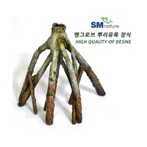 SM 맹그로브 뿌리유목장식 [072] 중