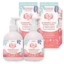 소프리스 핸드 스크럽 워시 280ml x 2, 단품